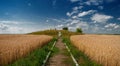 Struve Geodetic ÃÂÃâ¬ÃÂº for measuring the land in the wheat field